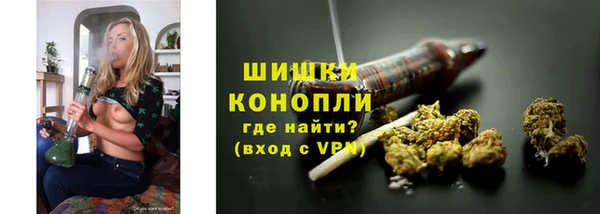 ALPHA PVP Белокуриха