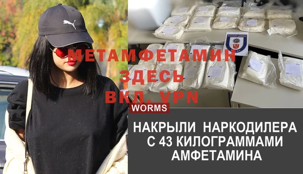 ALPHA PVP Белокуриха