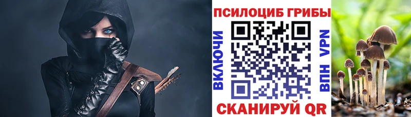 купить   мега маркетплейс  Псилоцибиновые грибы ЛСД  Облучье 